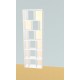 Bibliotheek  (H217cm - B70 cm)