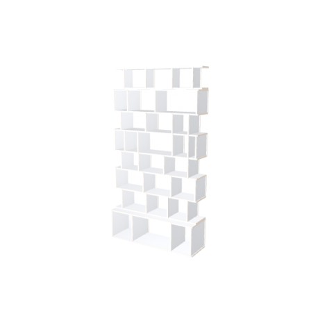 Meuble Bibliothèque sur-mesure (H220cm - L120 cm)