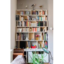 Custom bookcase  (H170cm - W140 cm)