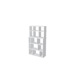 Custom bookcase  (H174cm - W100 cm)