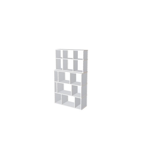 Meuble Bibliothèque sur-mesure (H174cm - L100 cm)