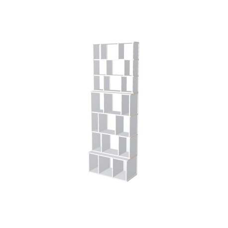 Custom bookcase  (H229cm - W81 cm)