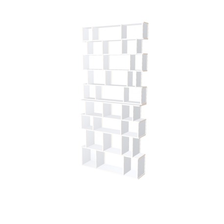 Meuble Bibliothèque sur-mesure (H257cm - L121 cm)